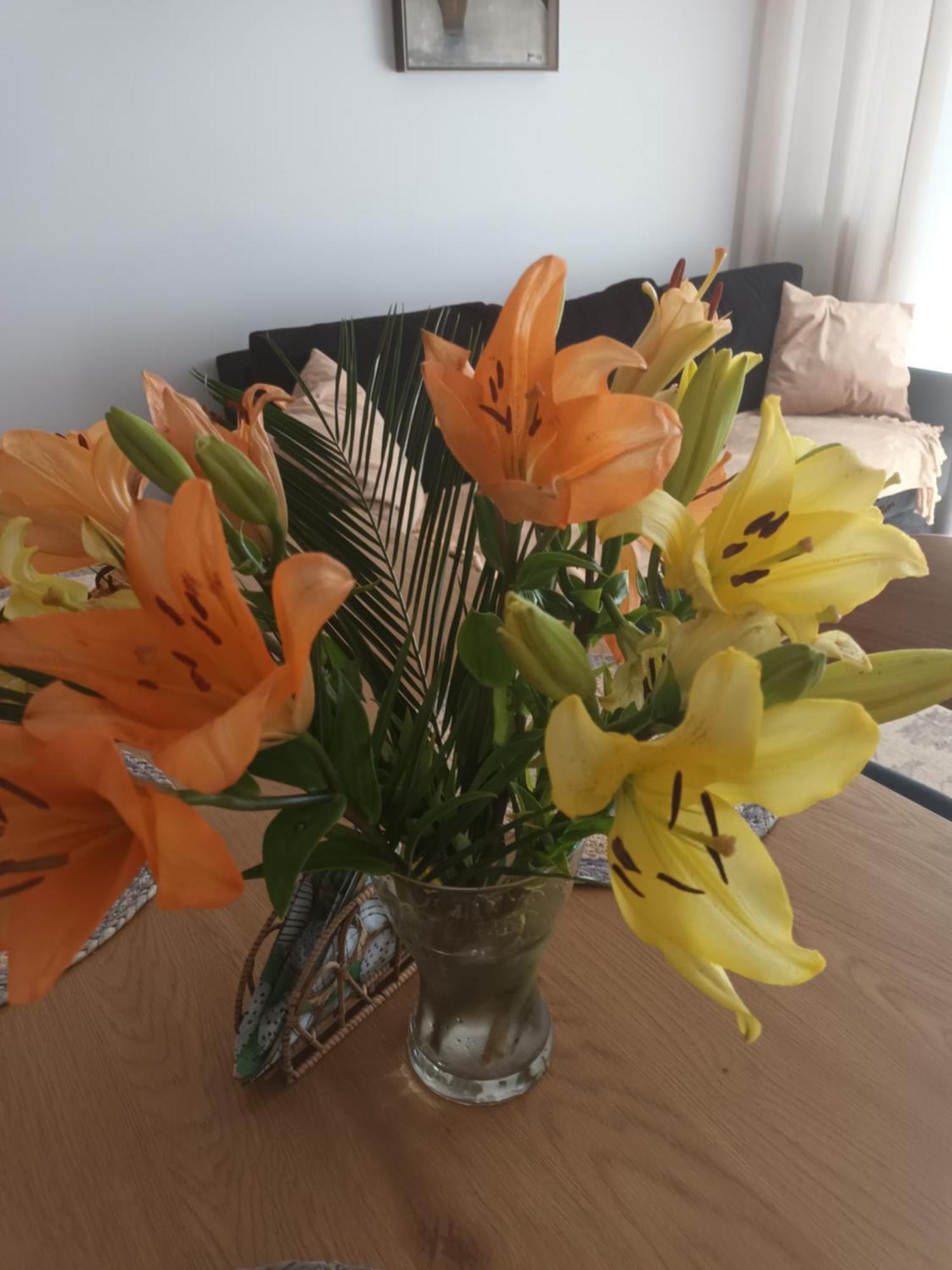 Apartament Lilla 2 Jelenia Gora Luaran gambar